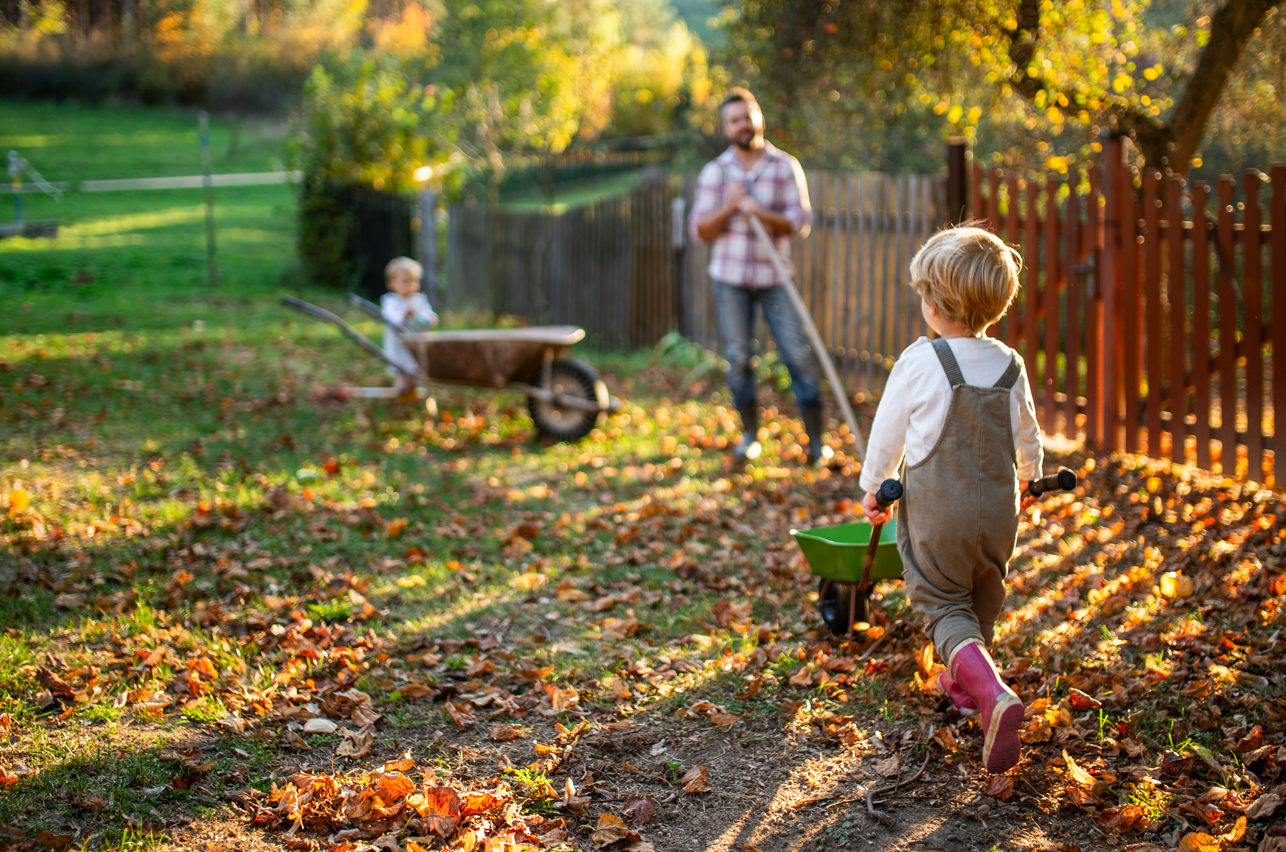 Leaves being collected