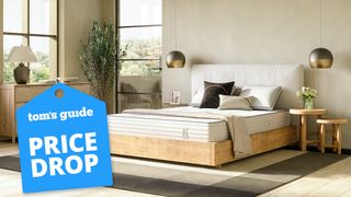Nolah Natural 11 Mattress shown on a fabric bed frame in a neutral colour bedroom