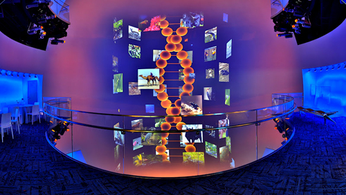 Interactive Exhibits by Electrosonic at North Carolina Museum of Natural Sciences