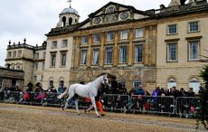 badminton horse trials 2015