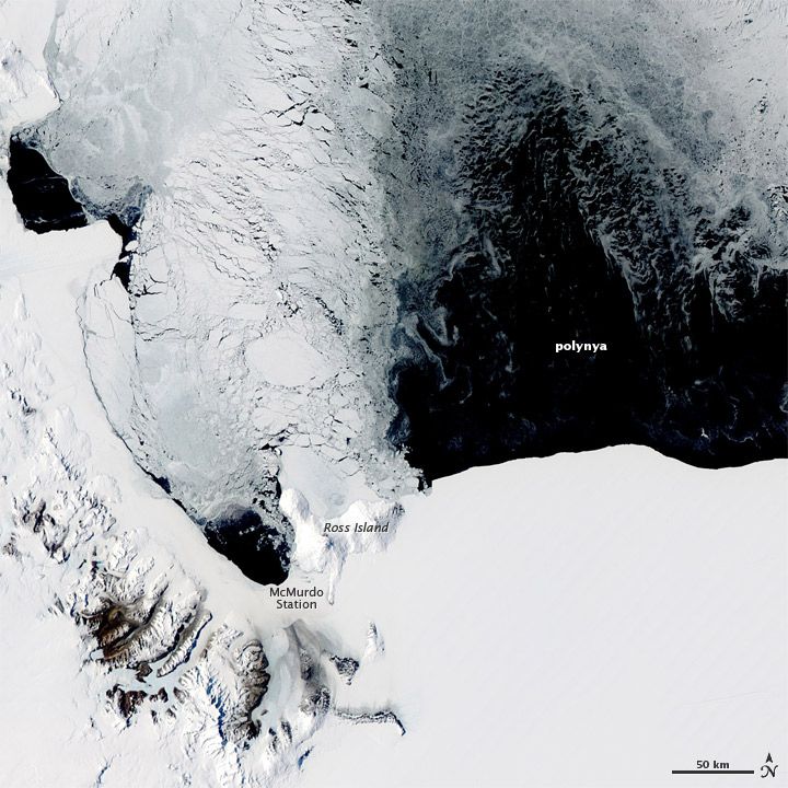 Where Polar Ice and Water Mix Polynya Antarctica Live Science