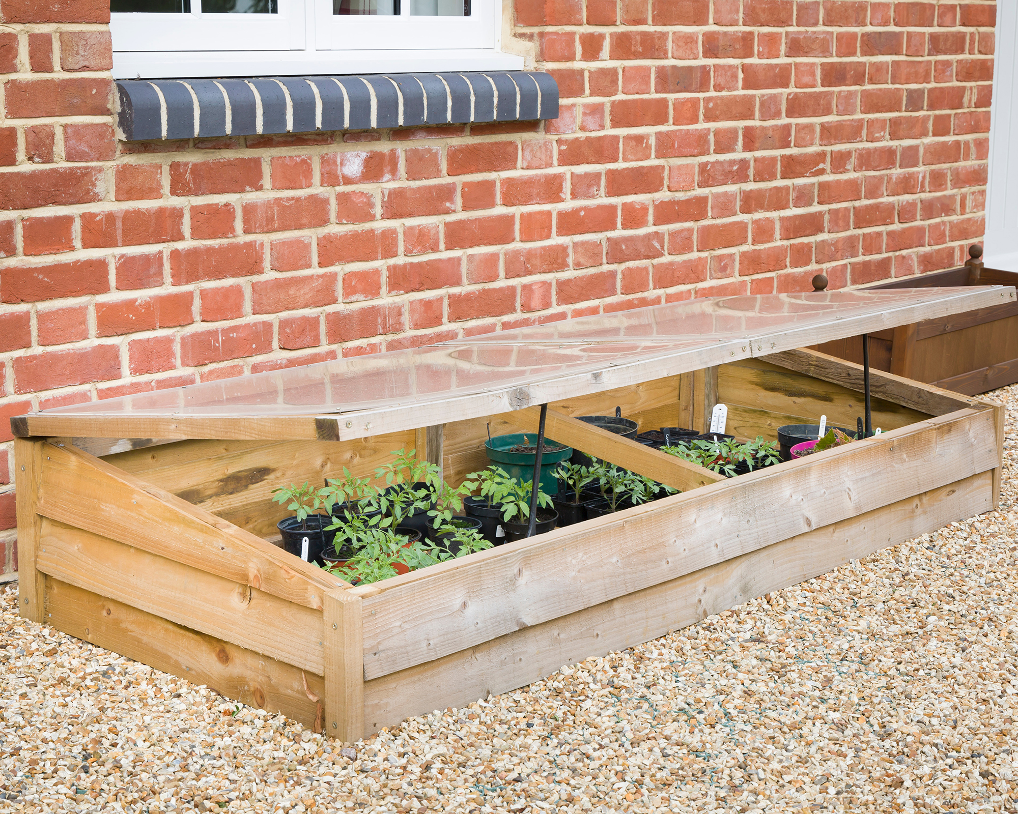 Hardening off seedlings in cold frame