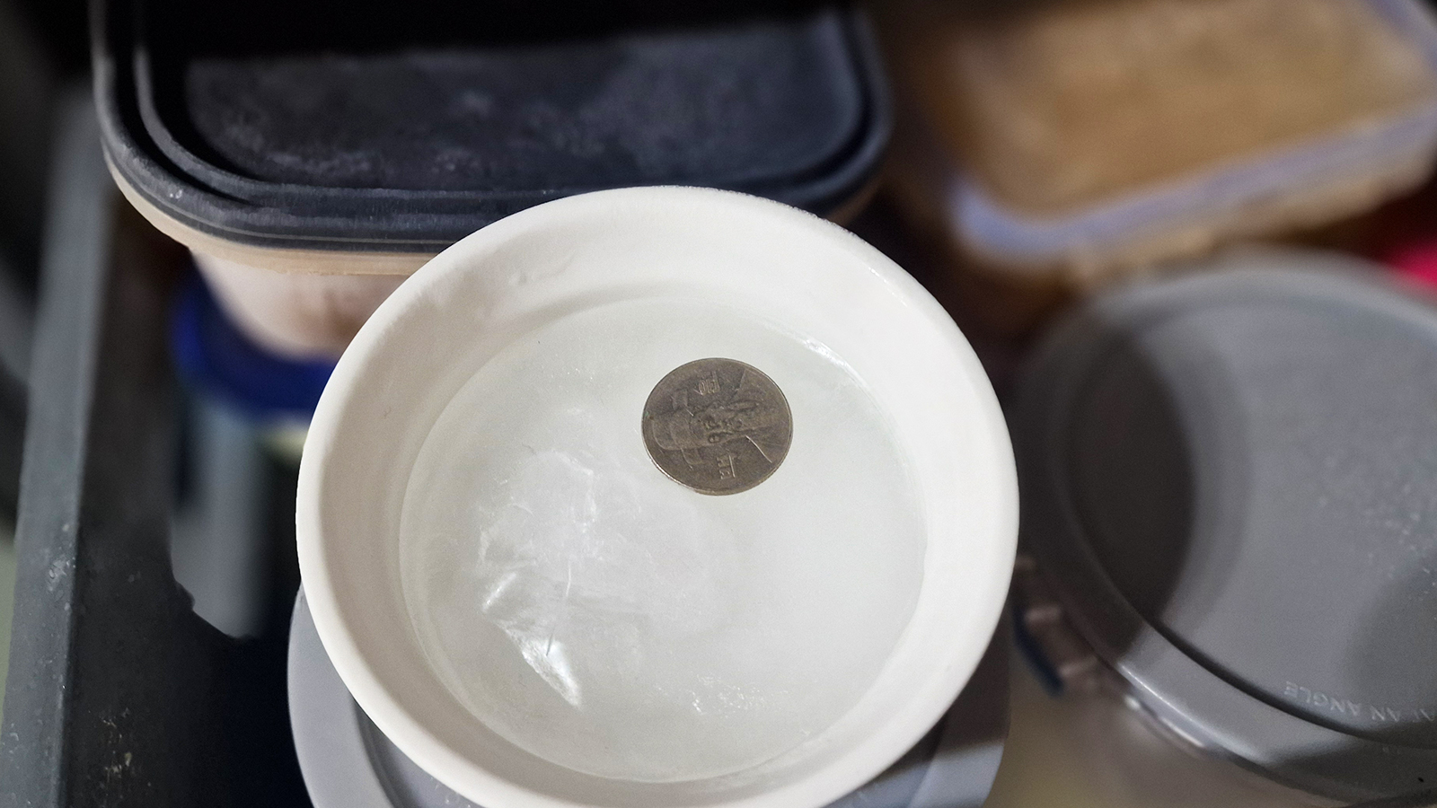 Holding a coin in front of a freezer