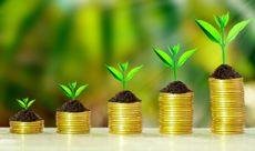 Stack of coins with growth sprout plant with fresh green nature blurred background, Investment concept.