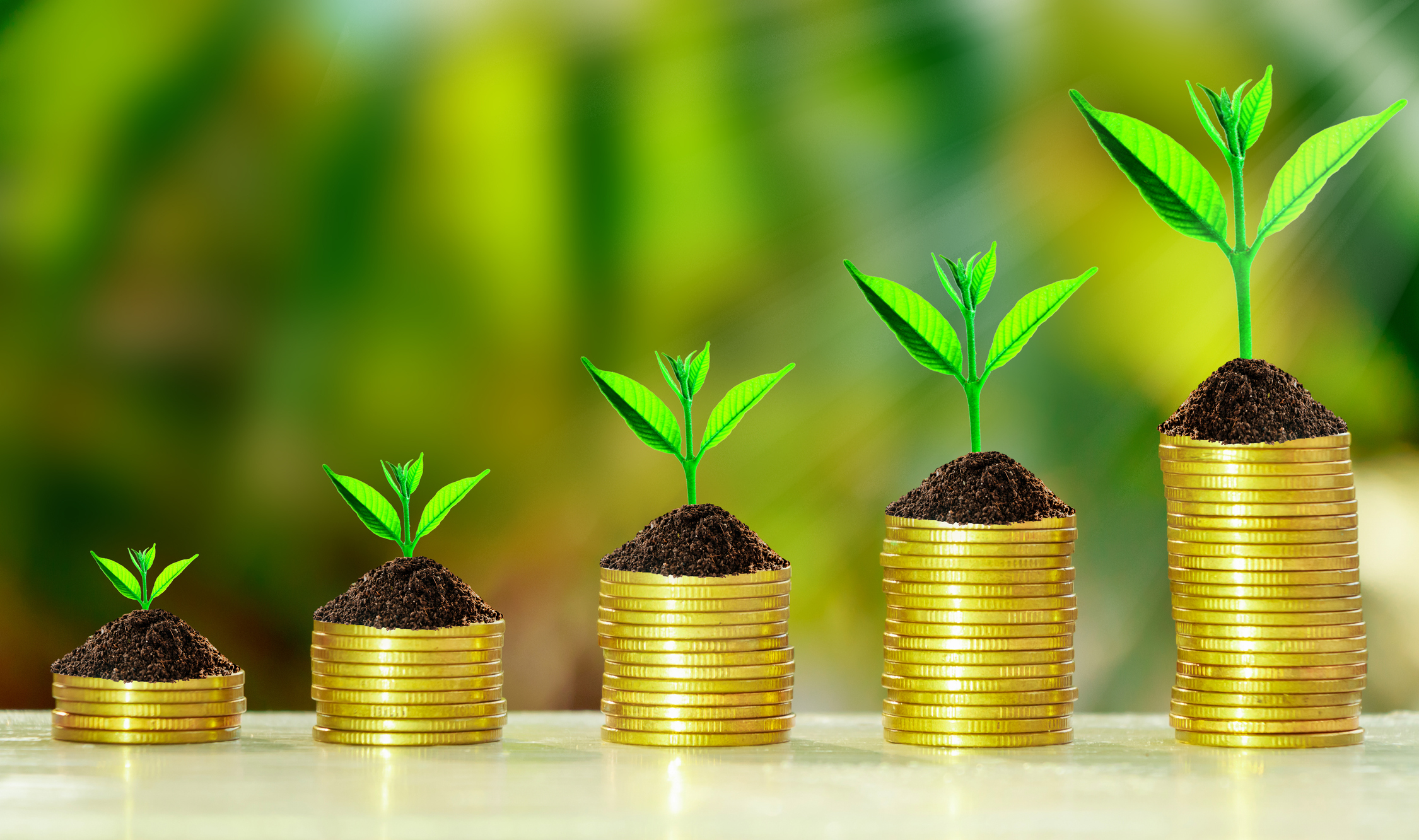 Stack of coins with growth sprout plant with fresh green nature blurred background, Investment concept.