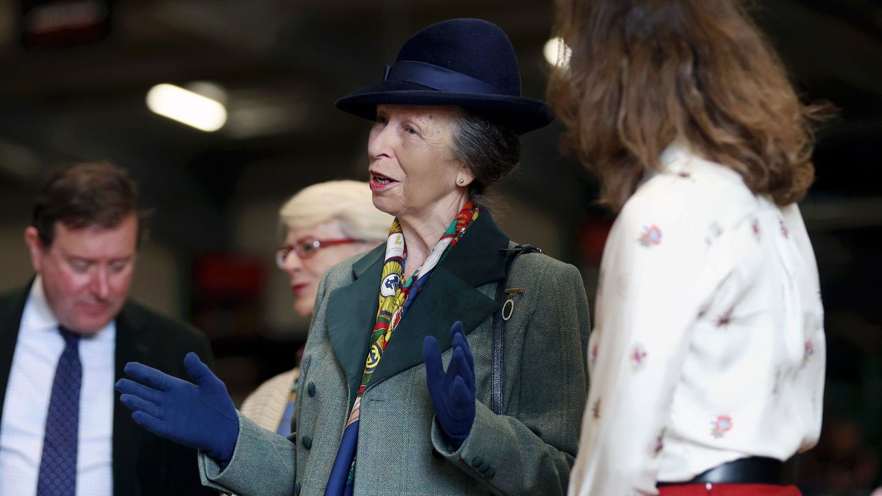 Princess Anne attends the Riding for the Disabled Association&#039;s National Championships