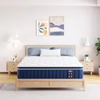 TeQsli Memory Foam Sprung Hybrid Mattress (Double)