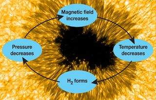 During the initial stage of sunspot emergence and cooling, the formation of H2 may trigger a temporary "runaway" magnetic field intensification. The magnetic field prevents the flow of energy from inside the sun to the outside, and the sunspot cools as the energy shines into space. They form hydrogen molecules that take half the volume of the atoms, thus dropping pressure and concentrating the magnetic field, and so on.
