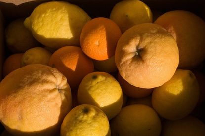 Pile Of Yellow And Orange Fruits