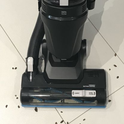 Hoover Upright 300 Pets upright vacuum cleaner review | Ideal Home