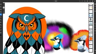 Vector brush drawing of an owl and raster brush drawings of blue jays in Adobe Fresco.