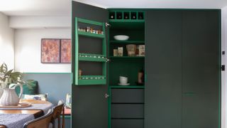 green kitchen pantry unit