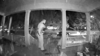 Cop kicks dog on porch captured by Ring security camera