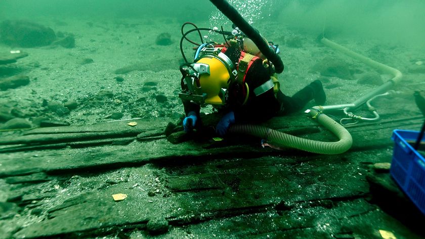 An underwater photo of a diver at the Sv&aelig;lget 2 shipwreck site. 
