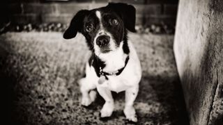 Black and white photography by Rod Lawton