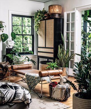 Plants styled on different height levels in living room