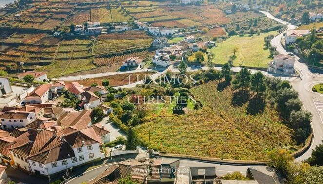 Douro valley property for sale