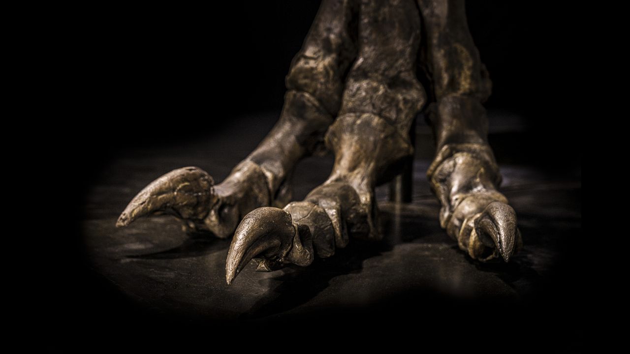 Tyrannosaurus rex was bipedal, meaning it walked on two legs.