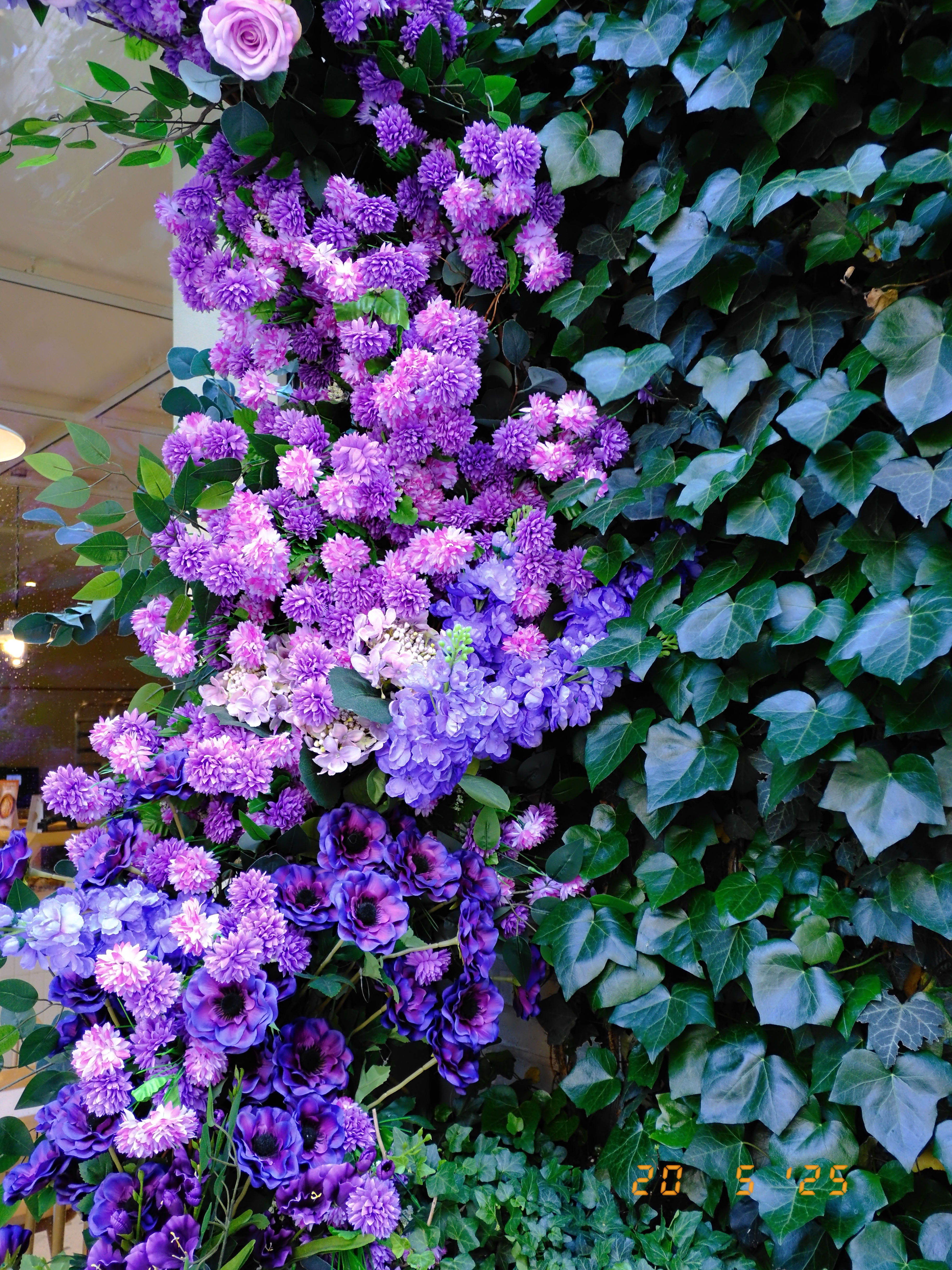 A photo taken on a Fujifilm X half digital film camera