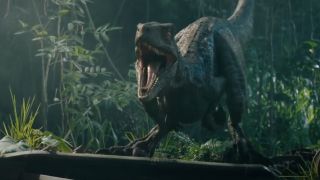 Blue the raptor in Jurassic World: Fallen Kingdom