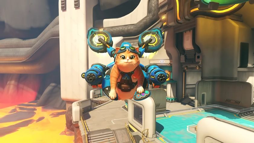 A screenshot of Jetpack Cat in Overwatch.