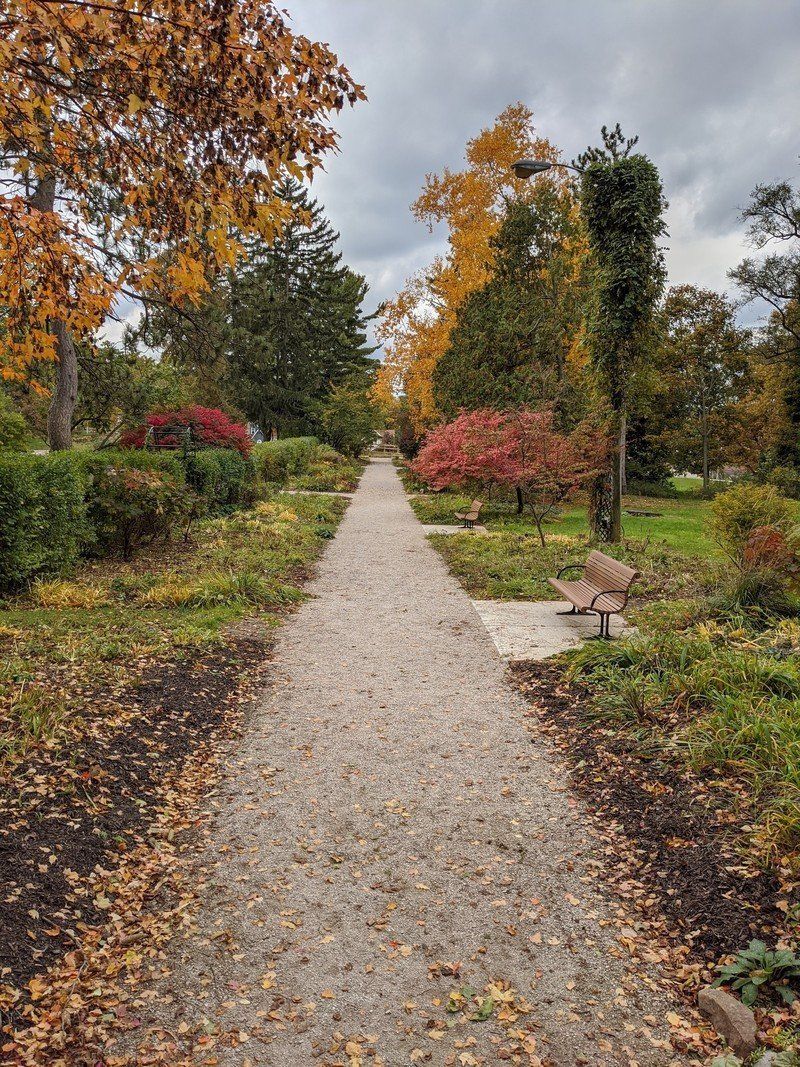 Pixel 4 XL camera sample
