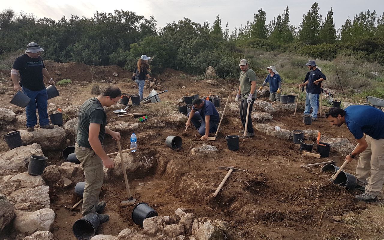 The excavation site