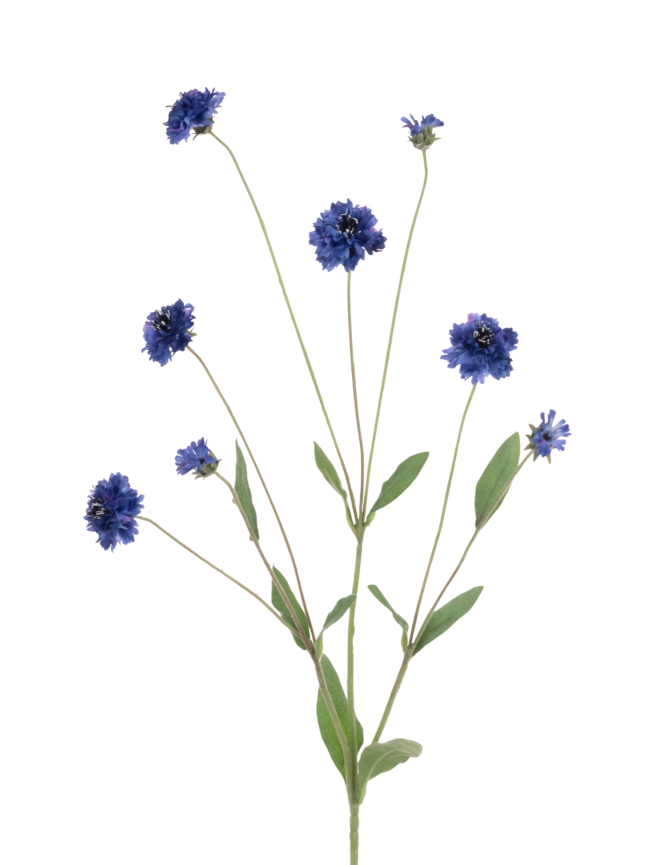 Floralsilk Artificial Cornflower Spray, 90cm, Blue