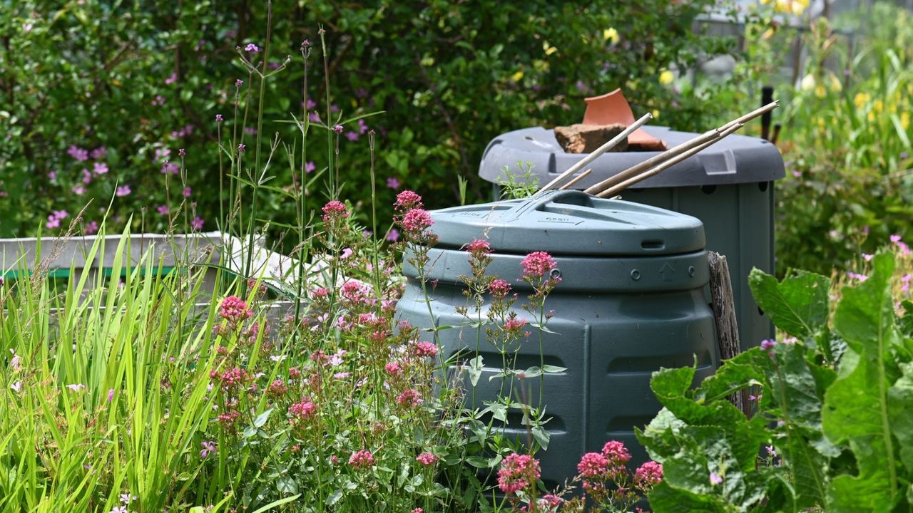 Two compost bins in an allotment