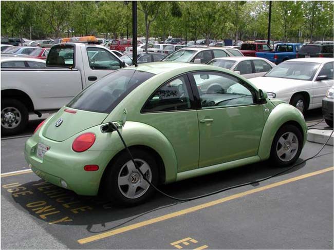car parking bug
