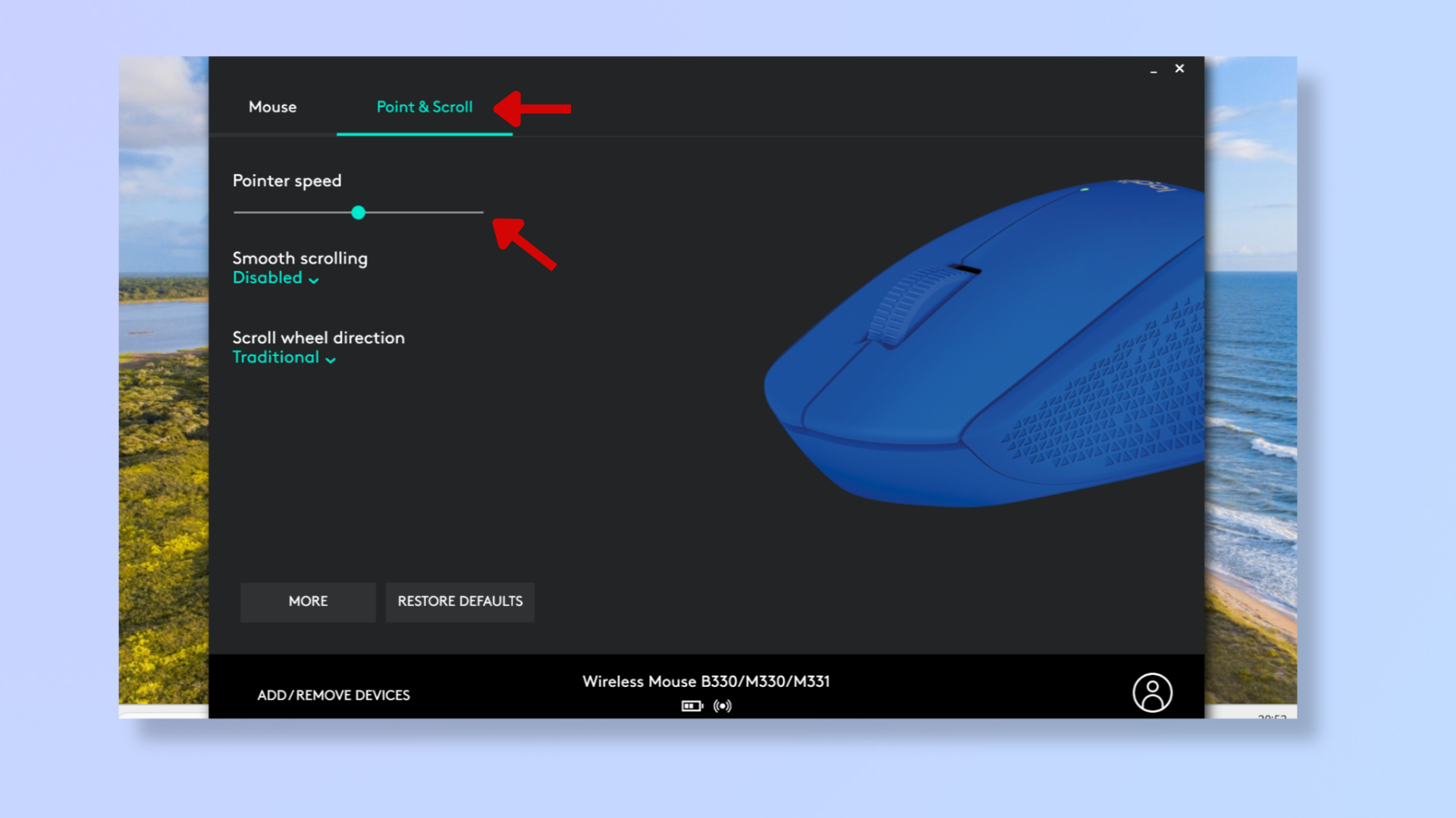 A screenshot of the Logitech Options app, with red arrows pointing at Point & Scroll and Pointer speed. 