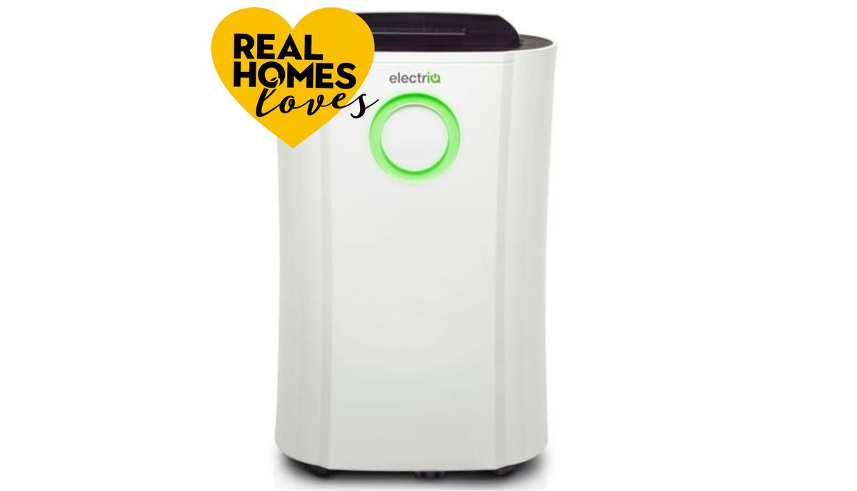 The Best Dehumidifiers You Can Buy Real Homes