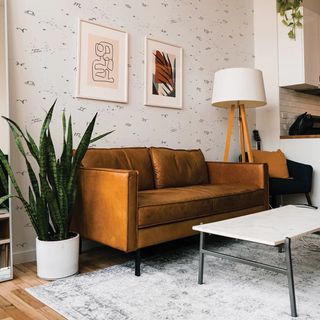 A small living room with tan leather sofa, snake houseplant and zodiac-inspired peel-and-stick wallpaper