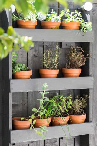 plant pots on shelves secured to grey fence