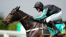 Altior has been withdrawn from the Cheltenham Festival