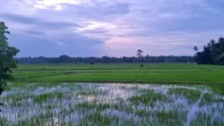 Post image 12