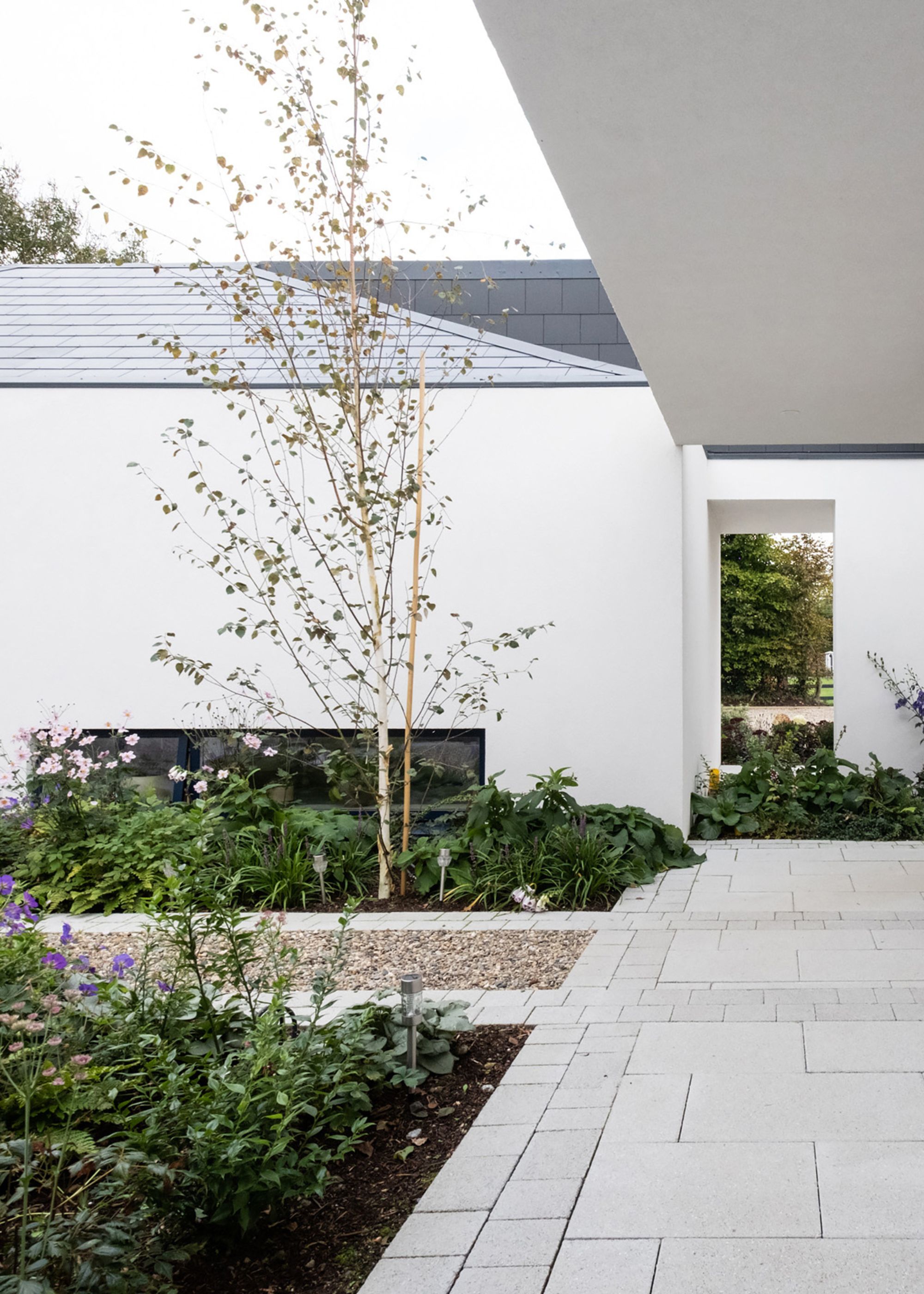 A backyard with bright white paving and lots of plants around the garden