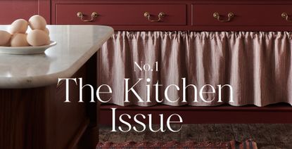 Close up of red kitchen cabinets with striped curtain