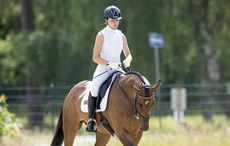 dressage-shirt-IPCIMMGLPICT000005137638.jpg