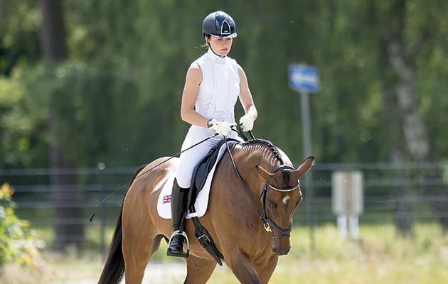 dressage-shirt-IPCIMMGLPICT000005137638.jpg