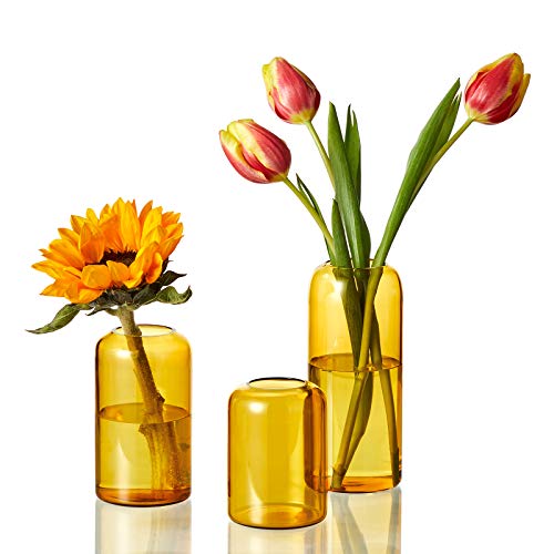 Zens Glass Bud Vase Set of 3, Hand Blown Small Amber Bud Vases for Flower Decorative, Modern Cylinder Clear Glass Vase for Wedding,living Room Home D&amp;eacute;cor