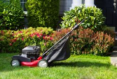 old gas lawnmower