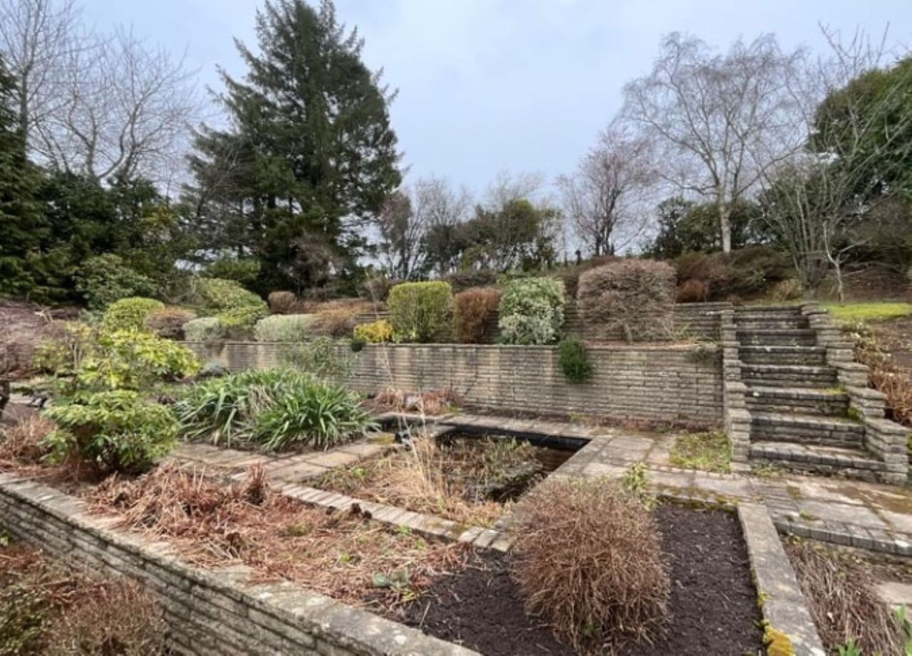 Tiered back garden with various plants in each structure