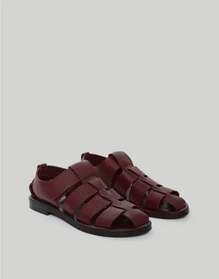 Maguire Marta Oxblood Sandal