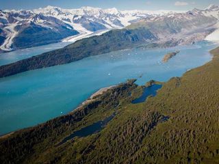 Prince William Sound