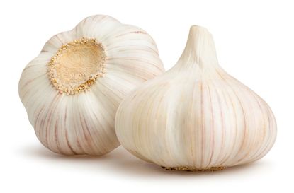 Two Heads Of Garlic