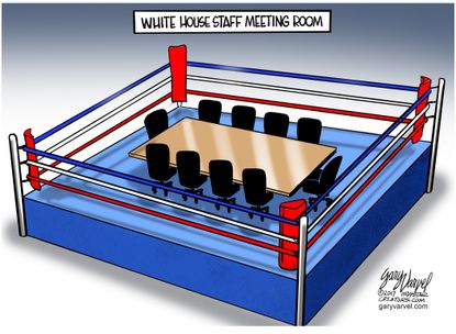 Political cartoon U.S. White House chaos boxing match