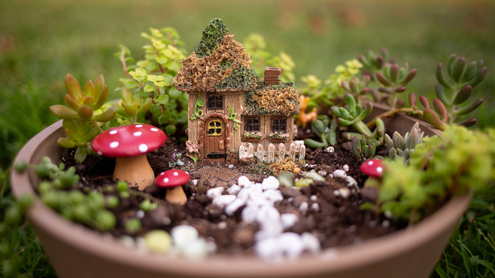 Miniature Fairy Garden in container with fairy house and toadstools