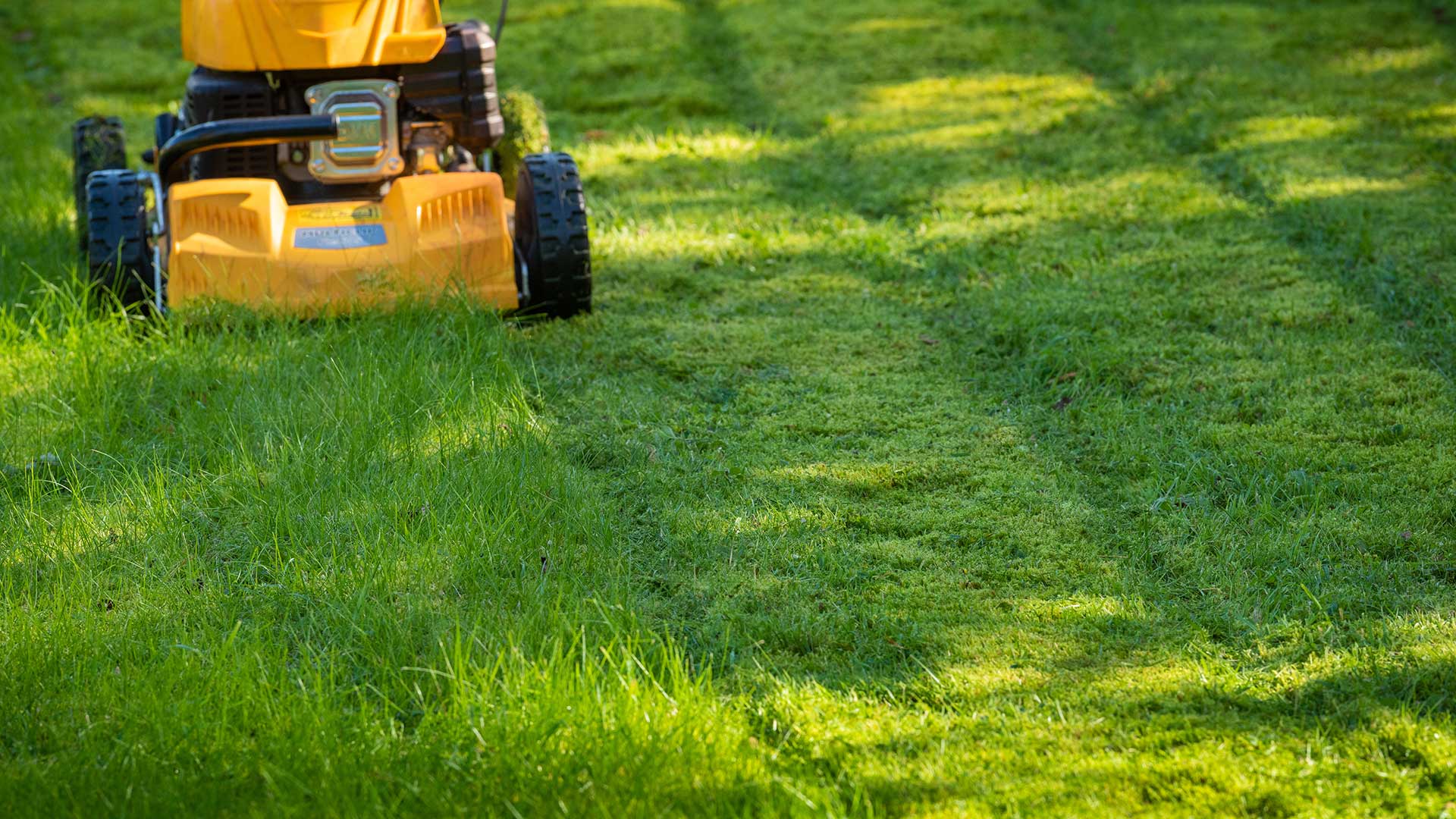 lawn mower mowing lawn