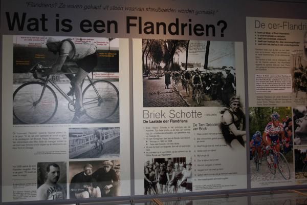 The characteristics of a Flandrien listed in the Ronde Van Vlaanderen museum in Oudenaarde.